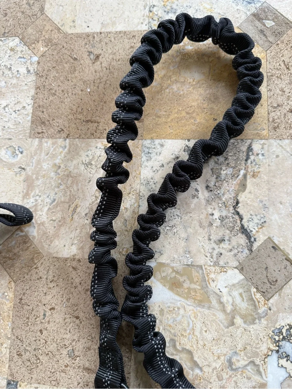 Hands free dog leash